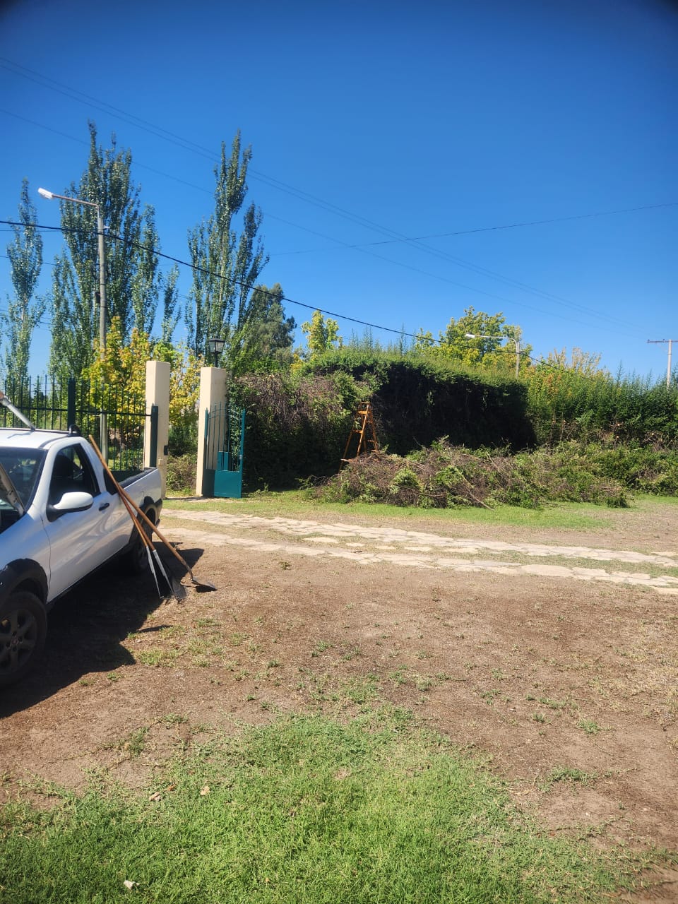 Poda de cerco en una entrada