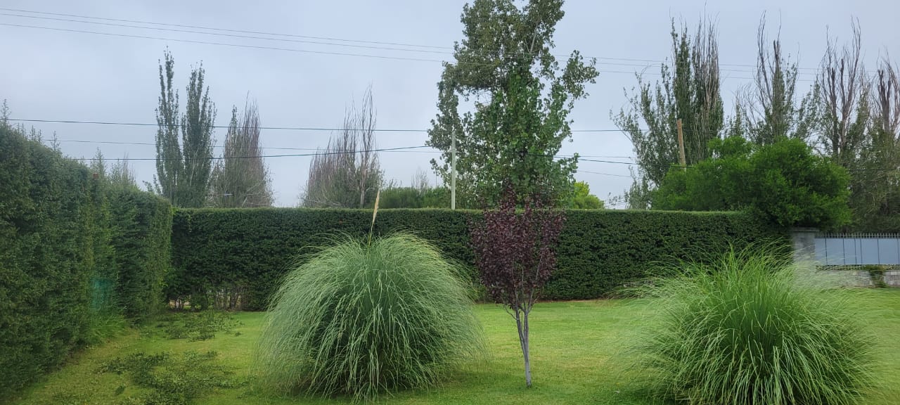Trabajo de jardinería en San Rafael
