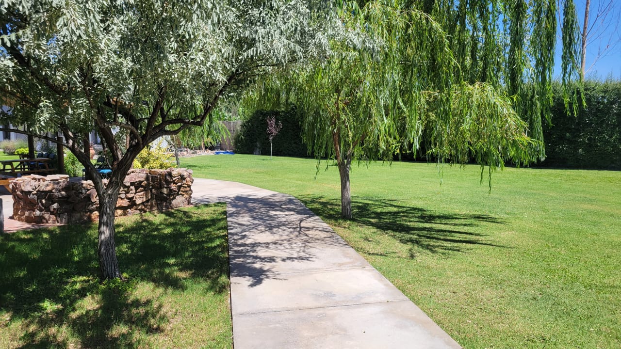 Trabajo de jardinería en San Rafael