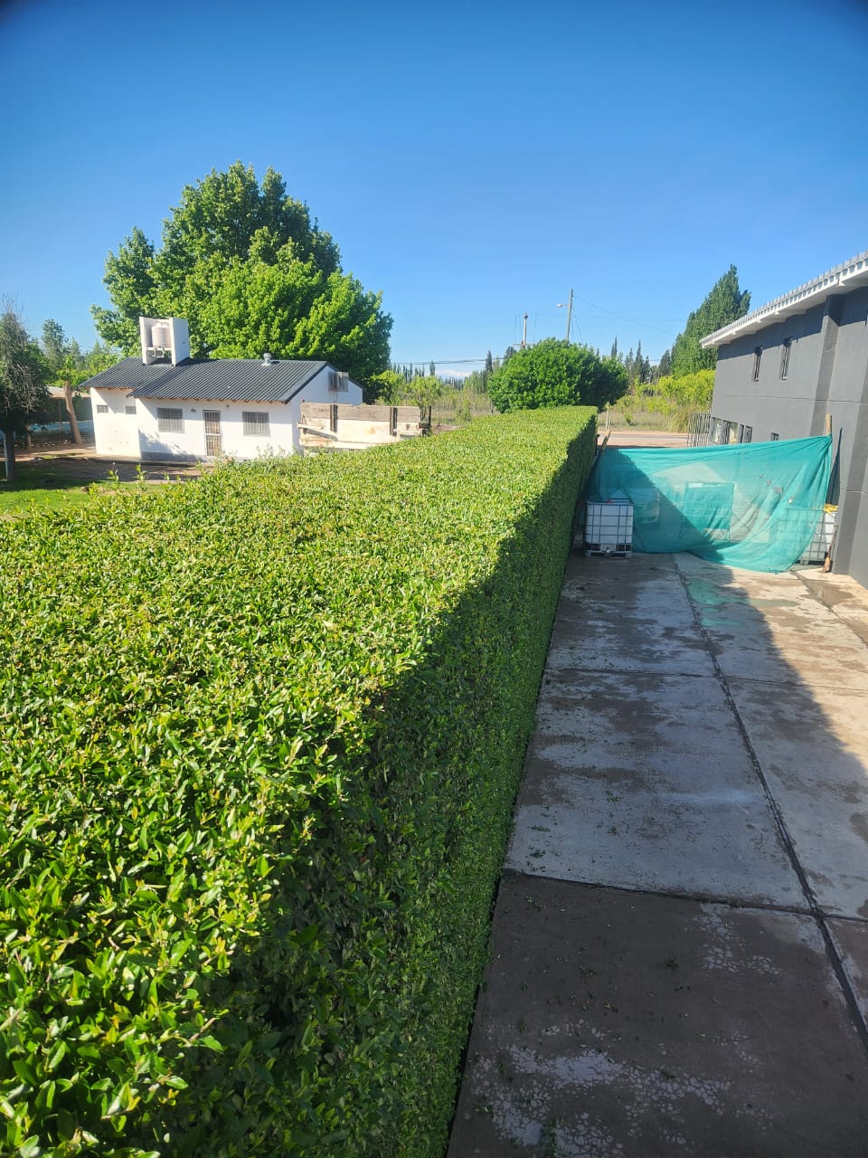 Trabajo de jardinería en San Rafael